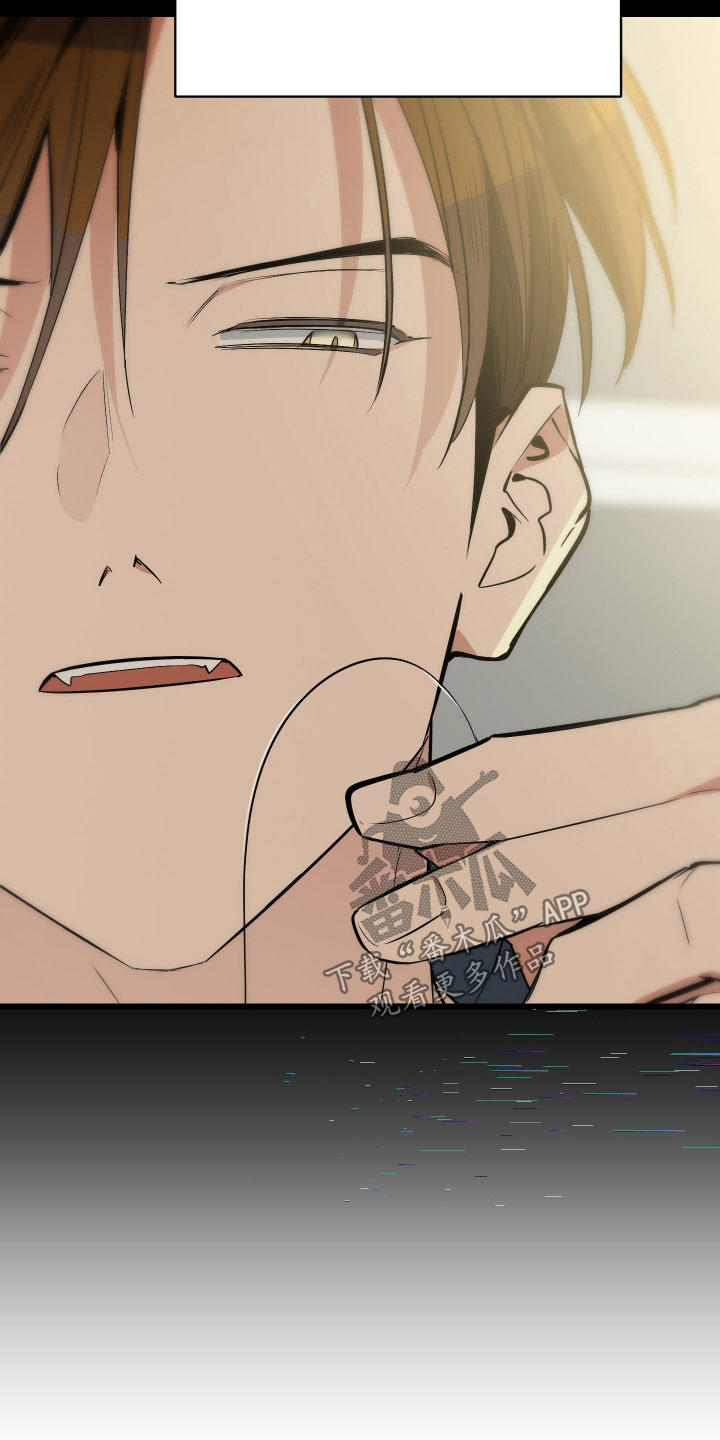 野猫的命定人类漫画,第29章：好运5图