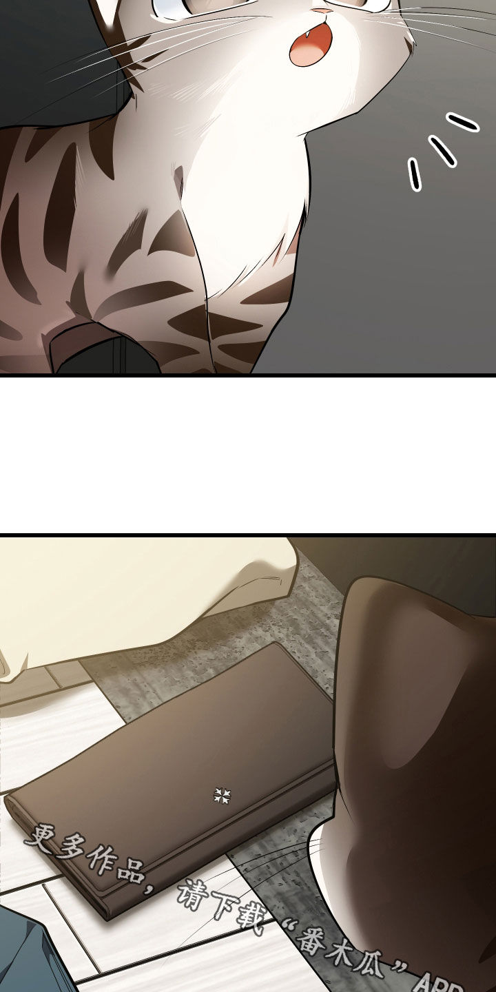 野猫的命定人类漫画实体书漫画,第25章：计划成功3图