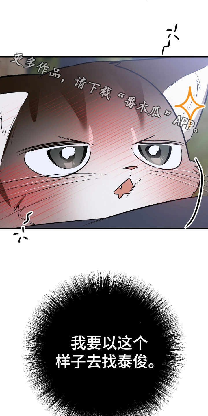 野猫的命定人类漫画,第32章：完蛋了1图