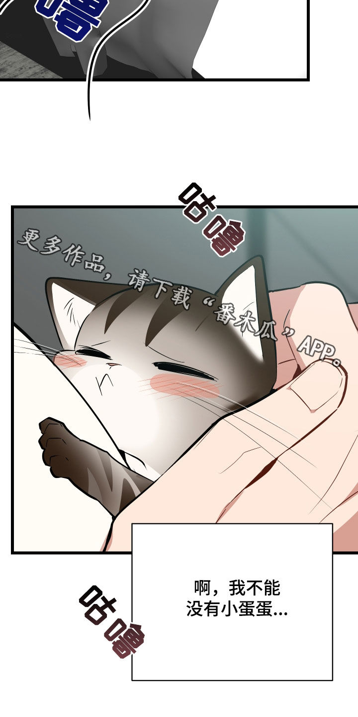 野猫有多可怕漫画,第26章：取名3图