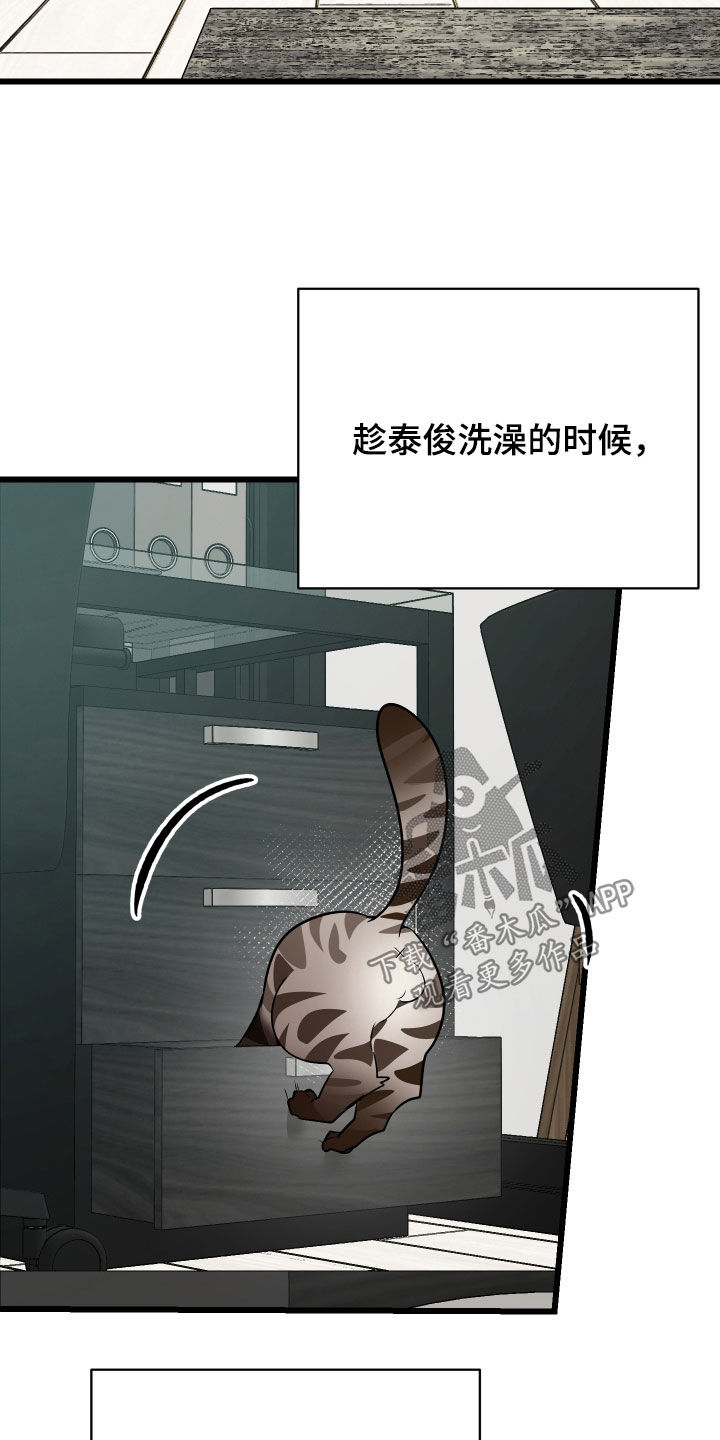 野猫的命定人类漫画实体书漫画,第25章：计划成功1图