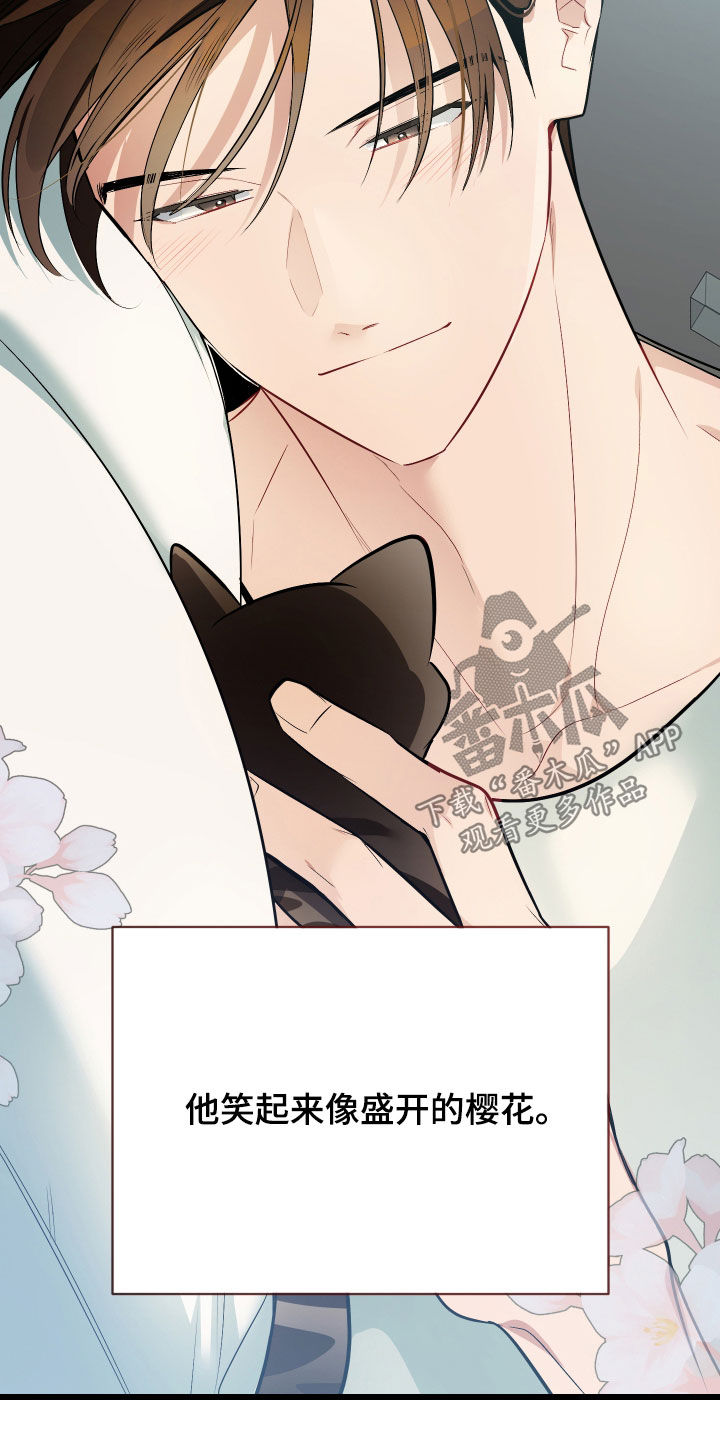 野猫的命定人类漫画原著正版漫画,第26章：取名5图