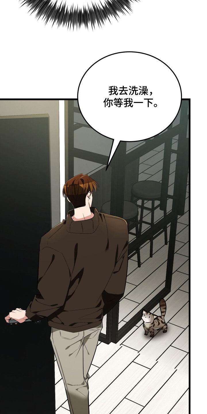 野猫的命定人类漫画,第25章：计划成功4图