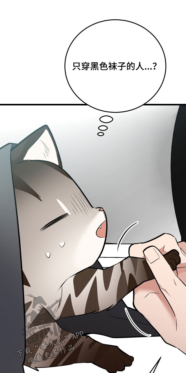 野猫的命定人类漫画原著正版漫画,第26章：取名2图