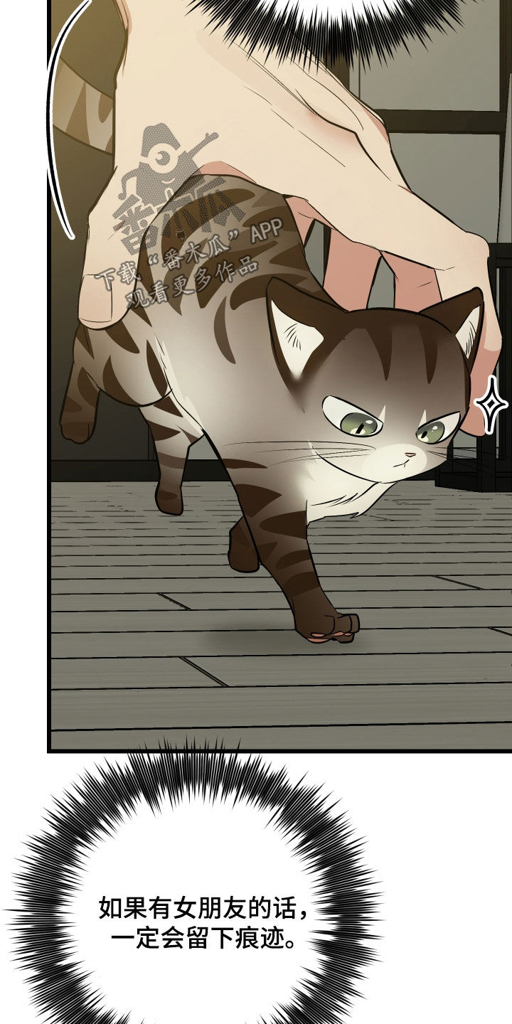 野猫的命定人类漫画,第25章：计划成功3图