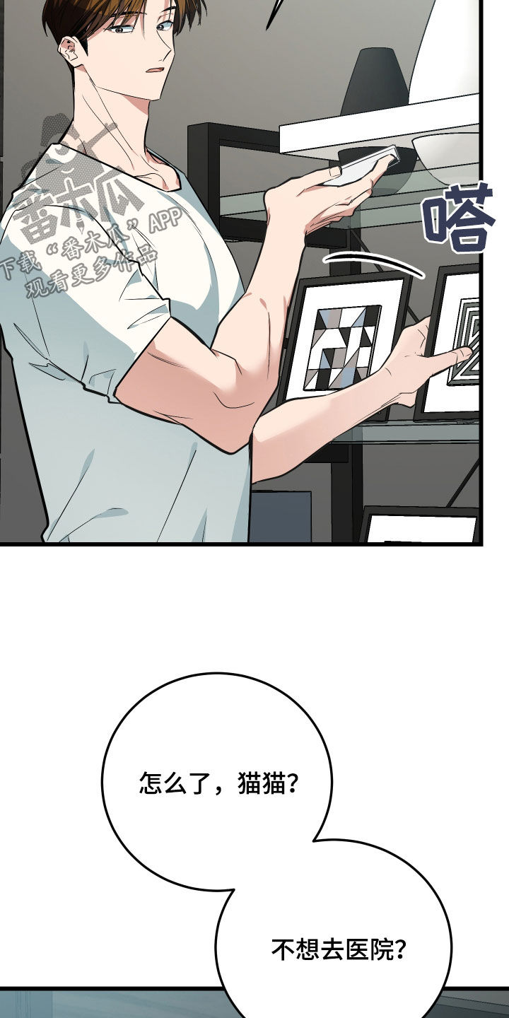 野猫的命定人类漫画原著正版漫画,第26章：取名1图