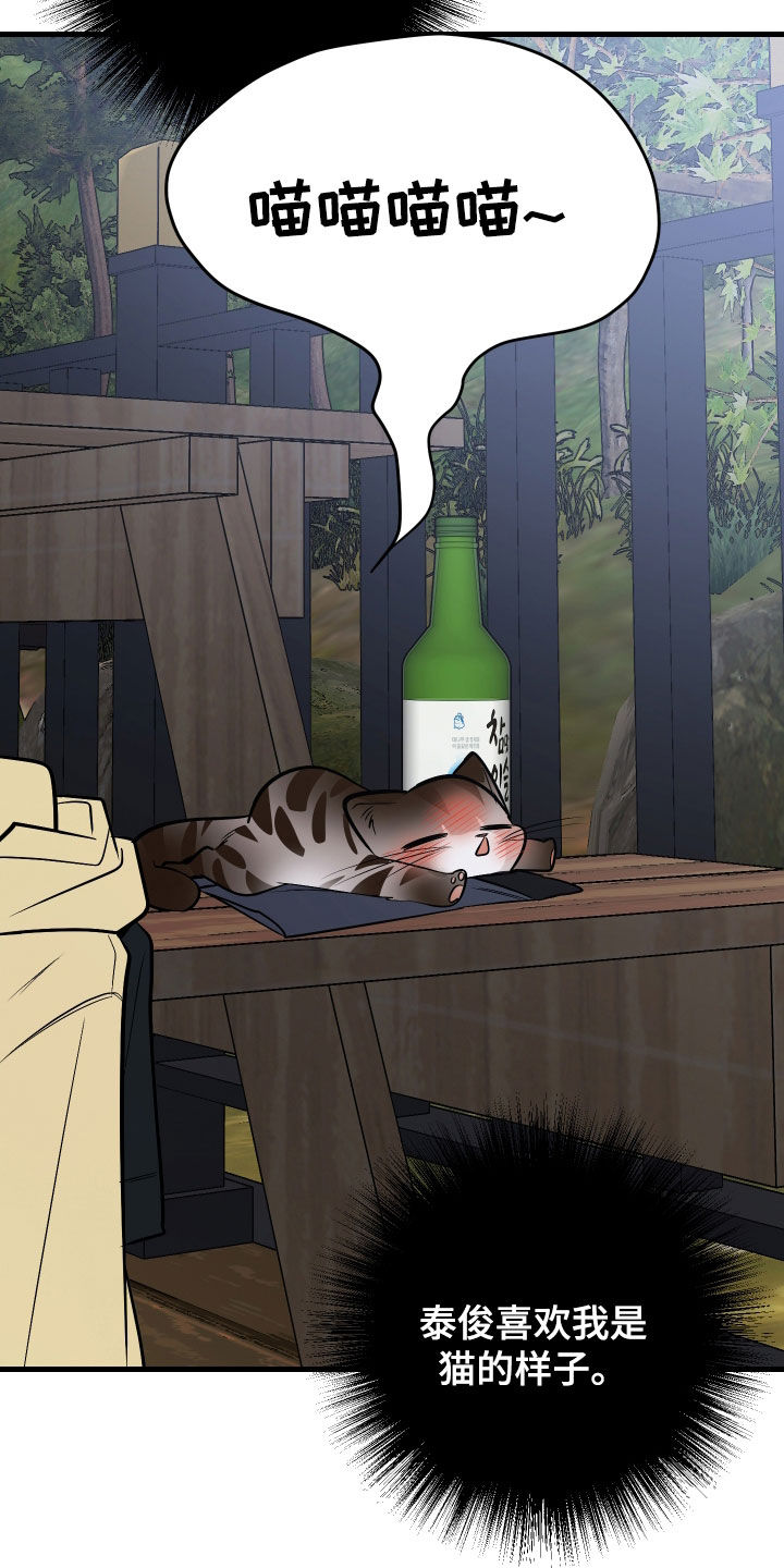 野猫的命定人类漫画,第32章：完蛋了5图