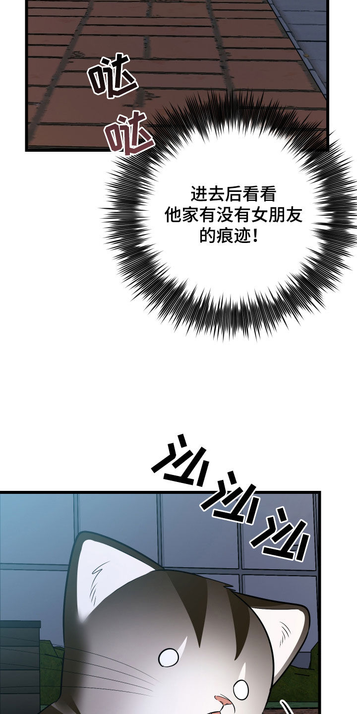 野猫的命定人类漫画,第25章：计划成功4图