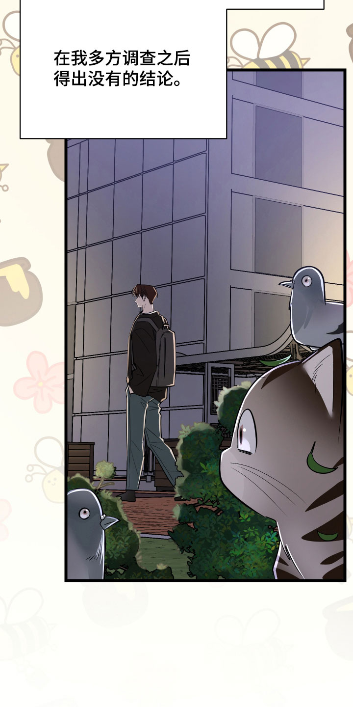 野猫的命定人类漫画,第27章：溜走1图