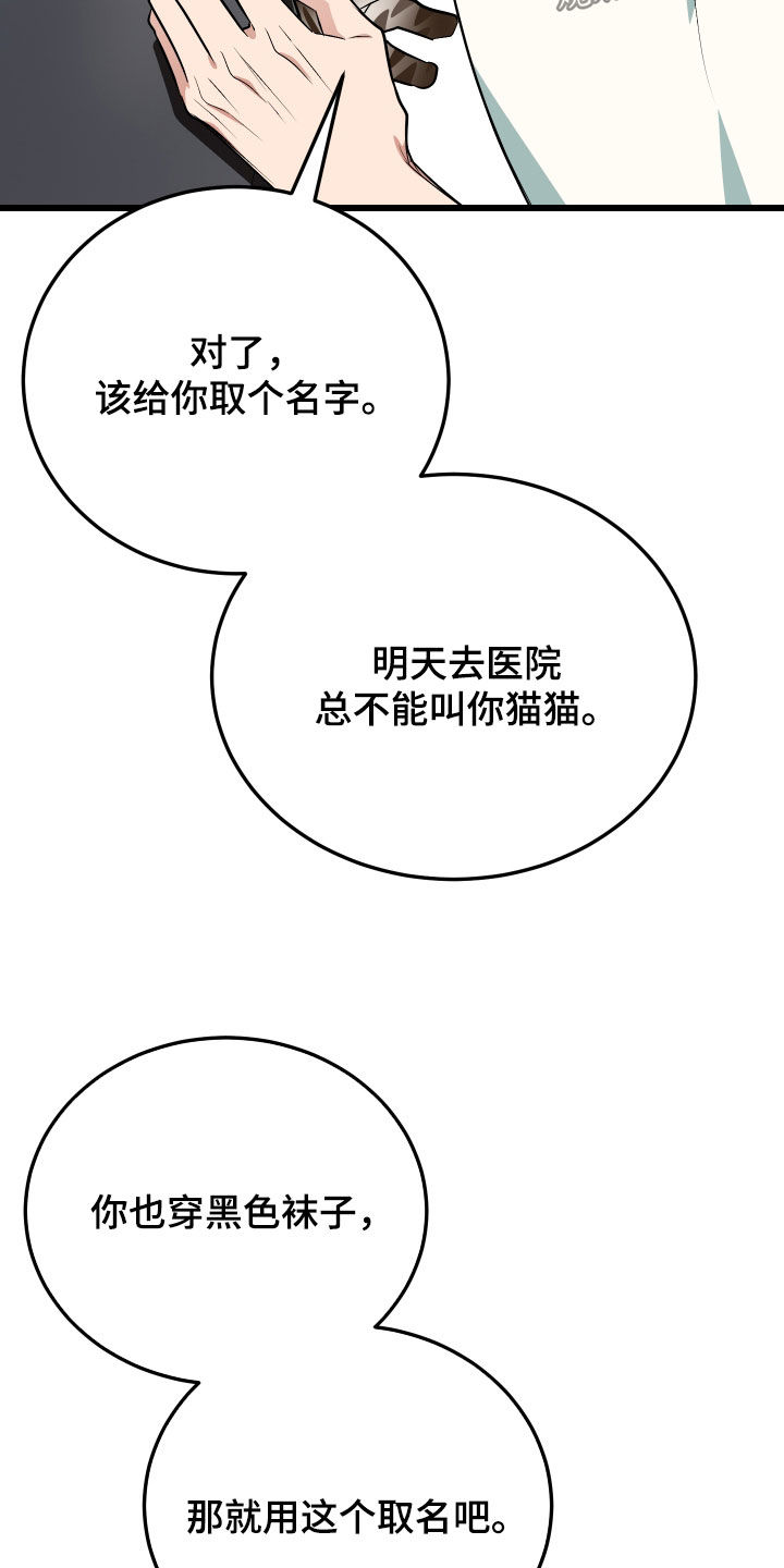 野猫的命定人类漫画原著正版漫画,第26章：取名2图