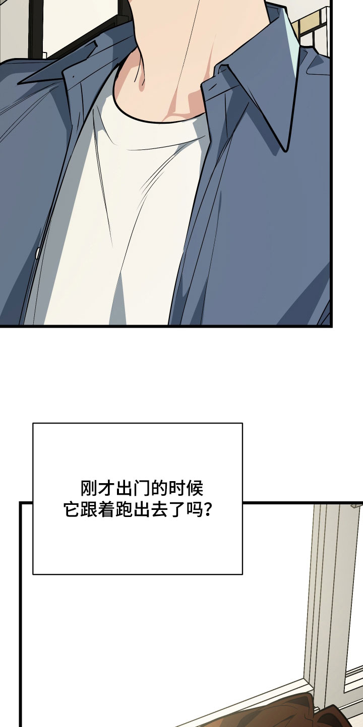 野猫的命定人类漫画,第27章：溜走1图