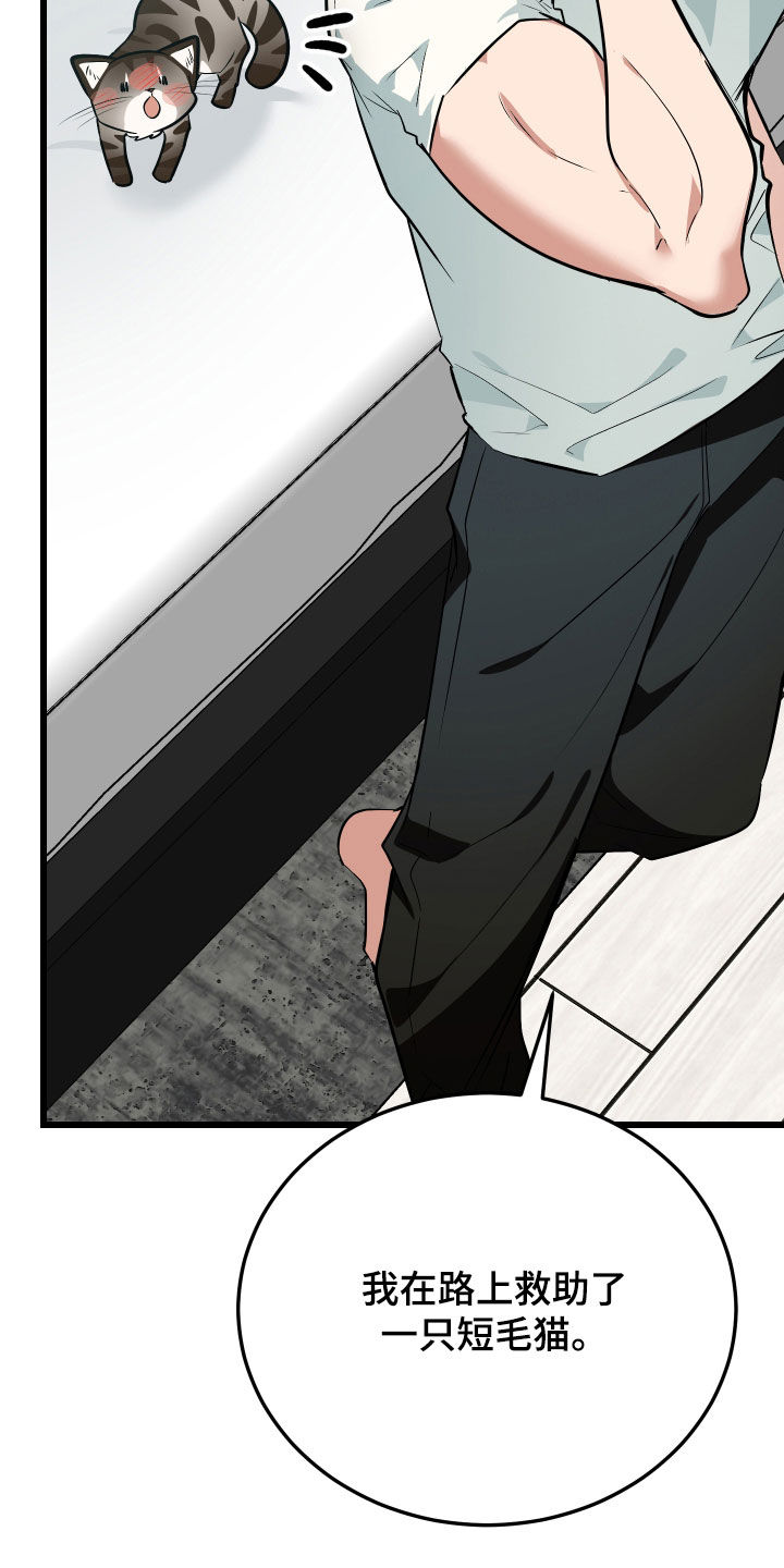 野猫的命定人类漫画,第26章：取名2图