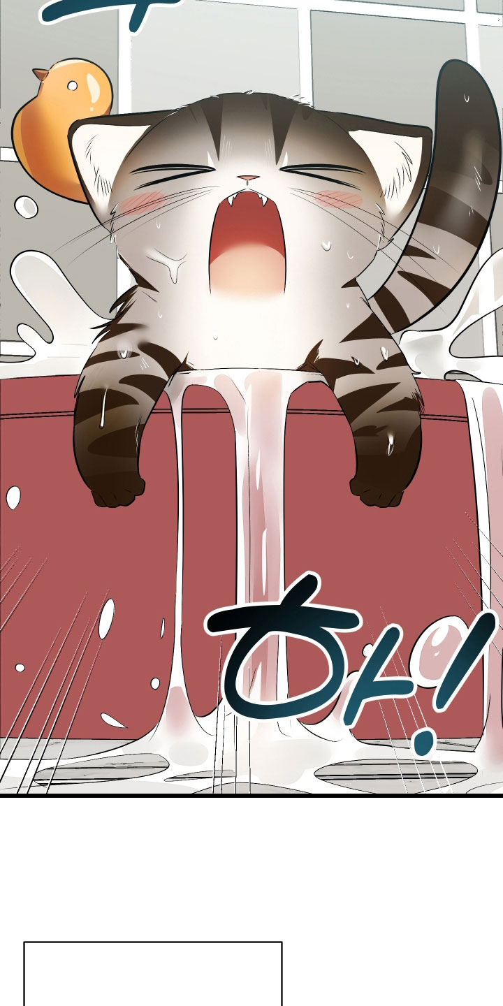 野猫的命定人类漫画,第27章：溜走3图