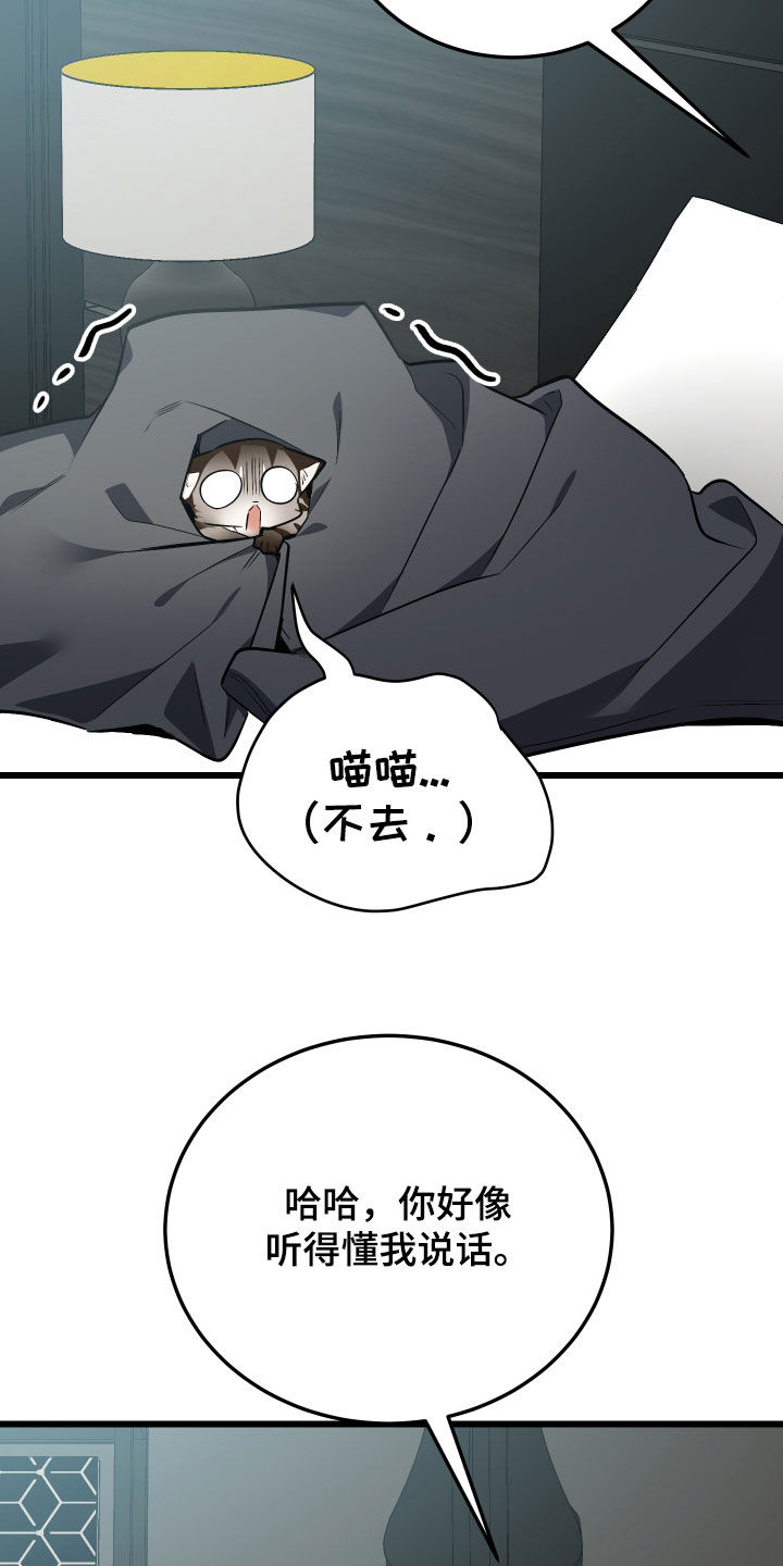 野猫的命定人类漫画原著正版漫画,第26章：取名2图