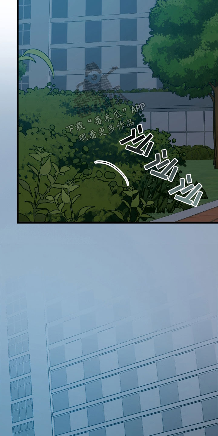 野猫的命定人类漫画,第25章：计划成功1图