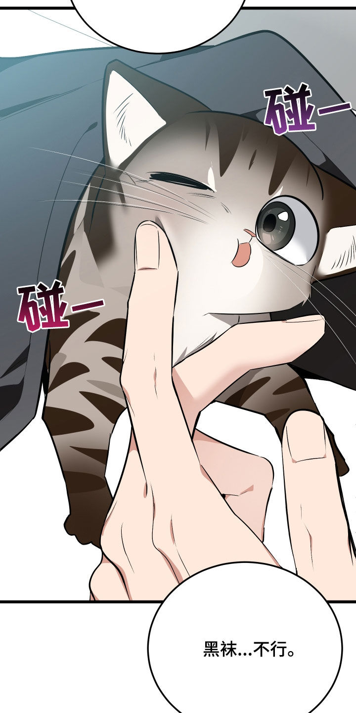 野猫的命定人类漫画原著正版漫画,第26章：取名3图