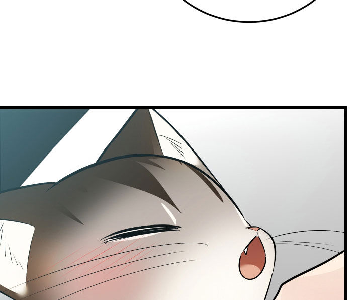 野猫的命定人类漫画原著正版漫画,第26章：取名4图