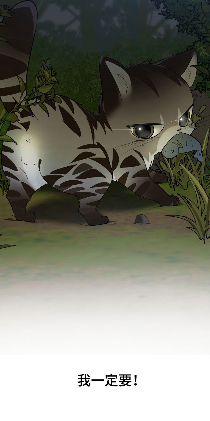 野猫的命定人类漫画,第23章：我可以的5图