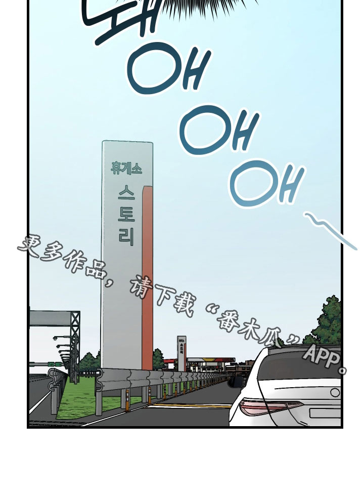 野猫的命定人类漫画,第29章：好运5图