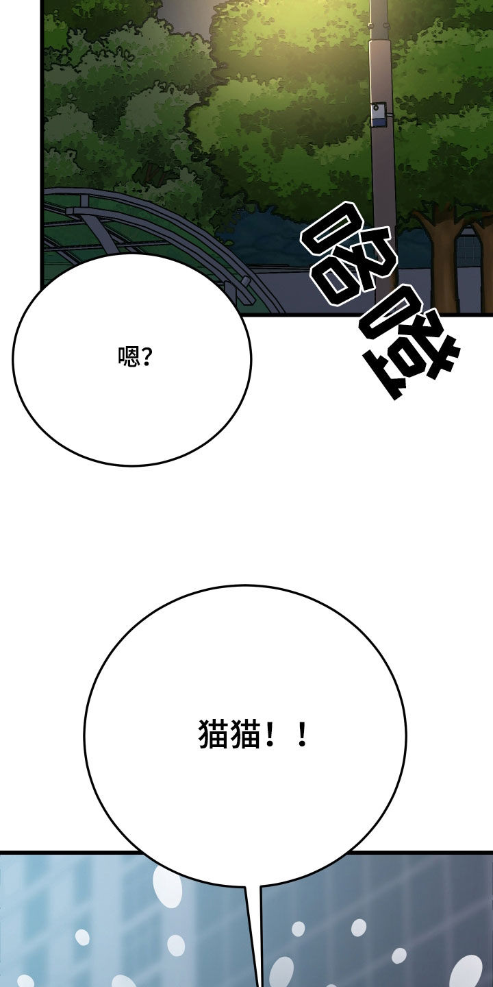 野猫的命定人类漫画,第25章：计划成功5图