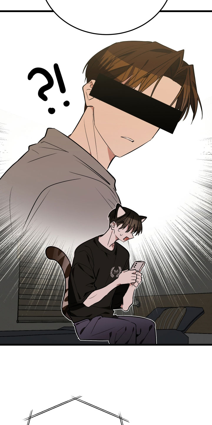 野猫的命定人类漫画,第28章：睡过头了1图