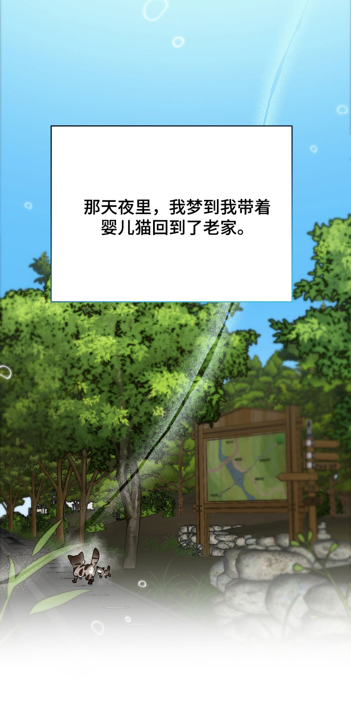 野猫的命定人类漫画,第28章：睡过头了5图