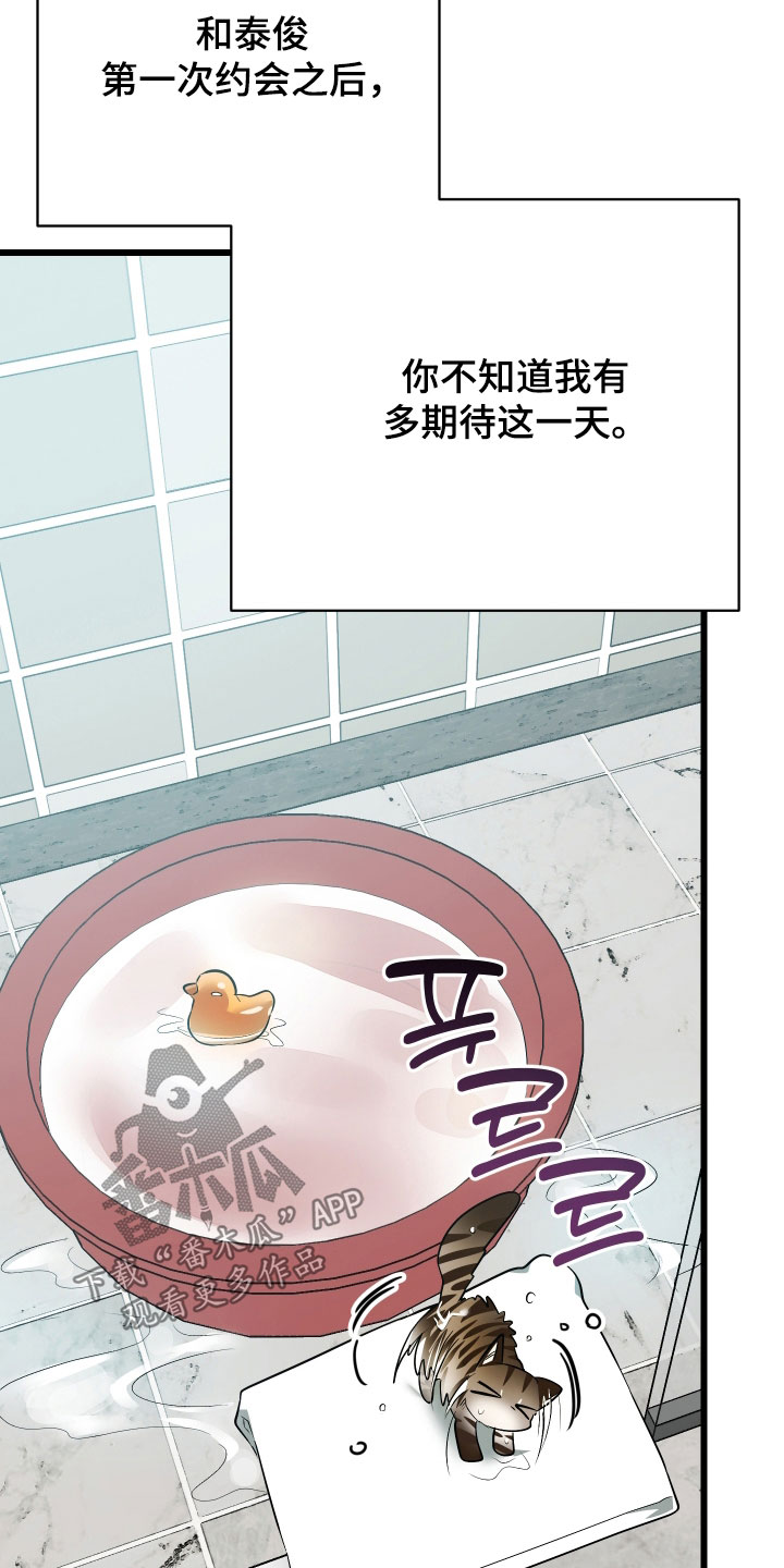 野猫的命定人类漫画,第27章：溜走4图