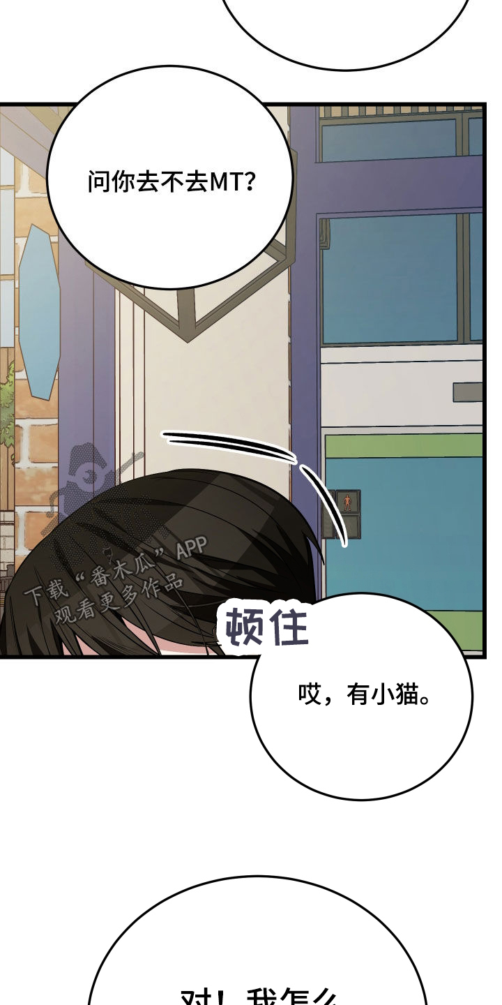 野猫的命定人类漫画,第25章：计划成功3图