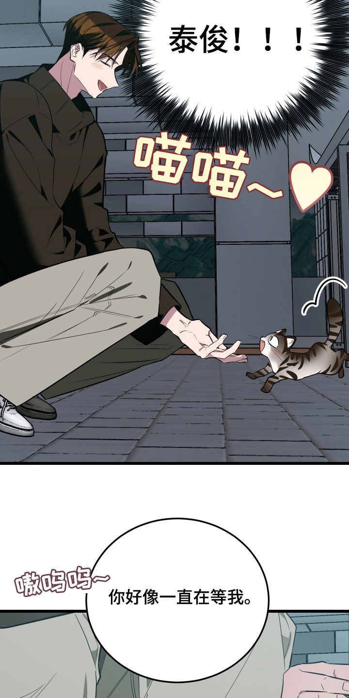 野猫的命定人类漫画,第25章：计划成功3图