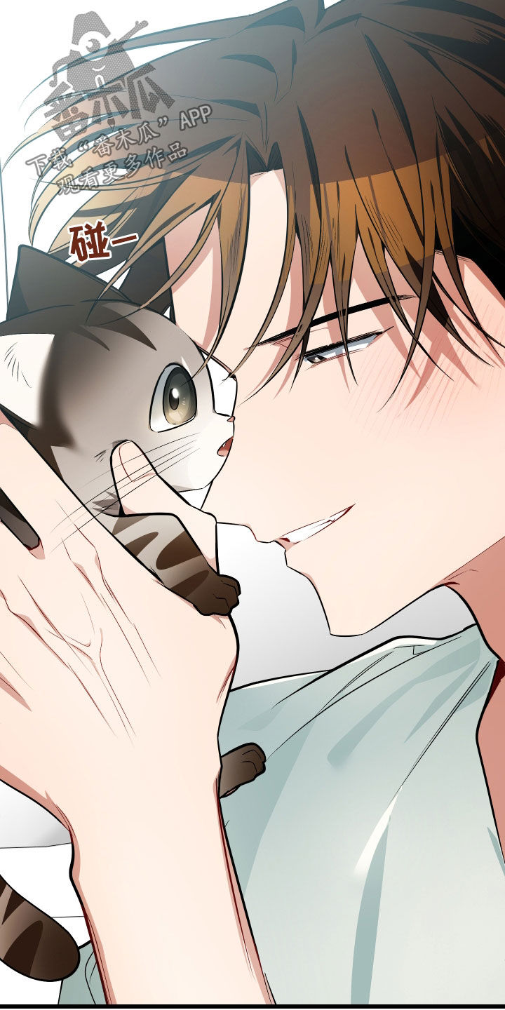 野猫的命定人类漫画原著正版漫画,第26章：取名1图