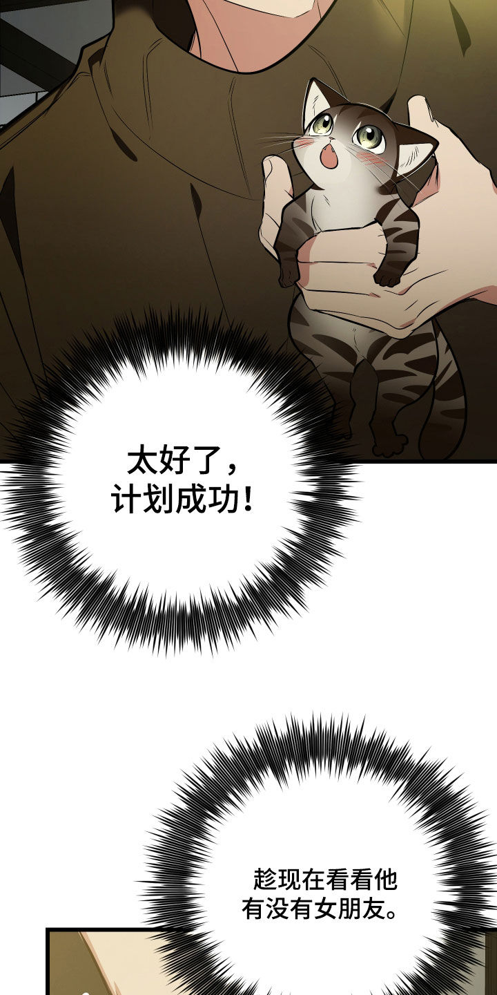 野猫的命定人类漫画,第25章：计划成功2图