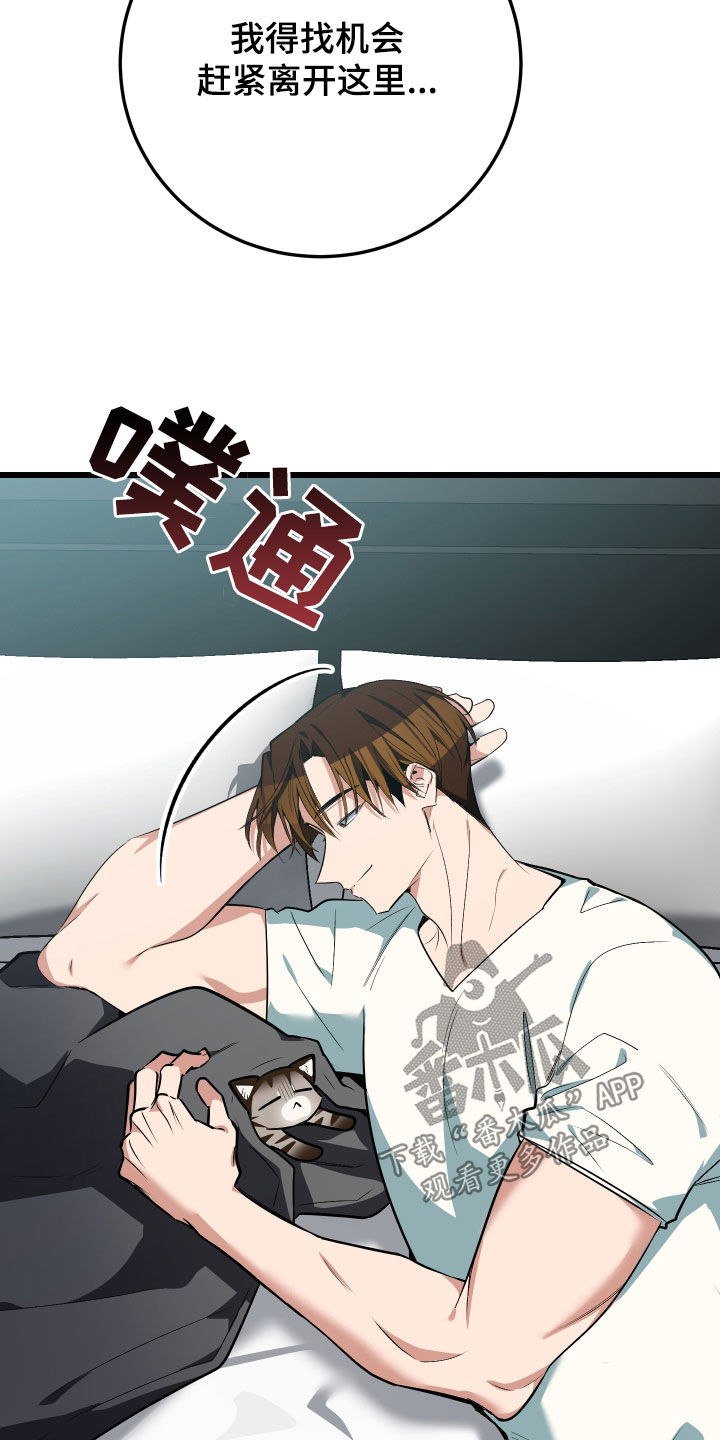 野猫的命定人类漫画原著正版漫画,第26章：取名4图