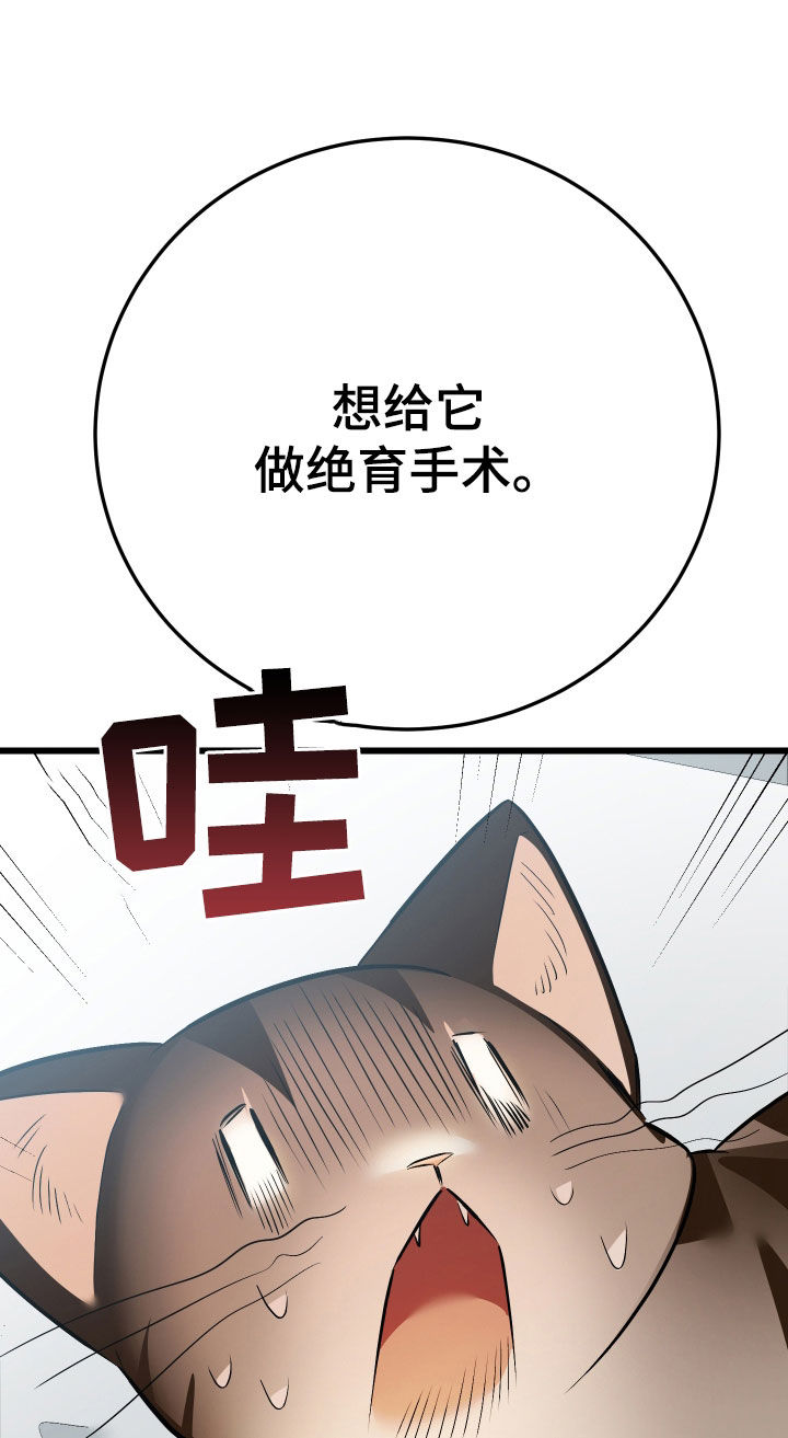 野猫的命定人类漫画,第26章：取名3图