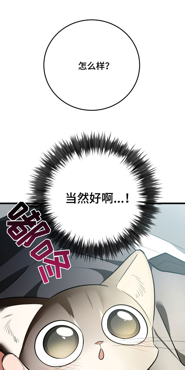 野猫的命定人类漫画原著正版漫画,第26章：取名2图