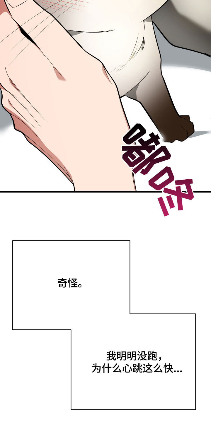 野猫的命定人类漫画原著正版漫画,第26章：取名3图