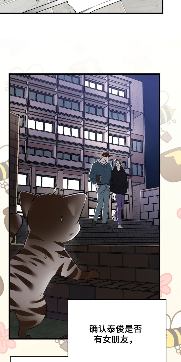 野猫的命定人类漫画,第27章：溜走5图