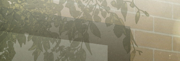 糖衣陷阱讲的什么漫画,第17章：为什么在这里抽烟2图