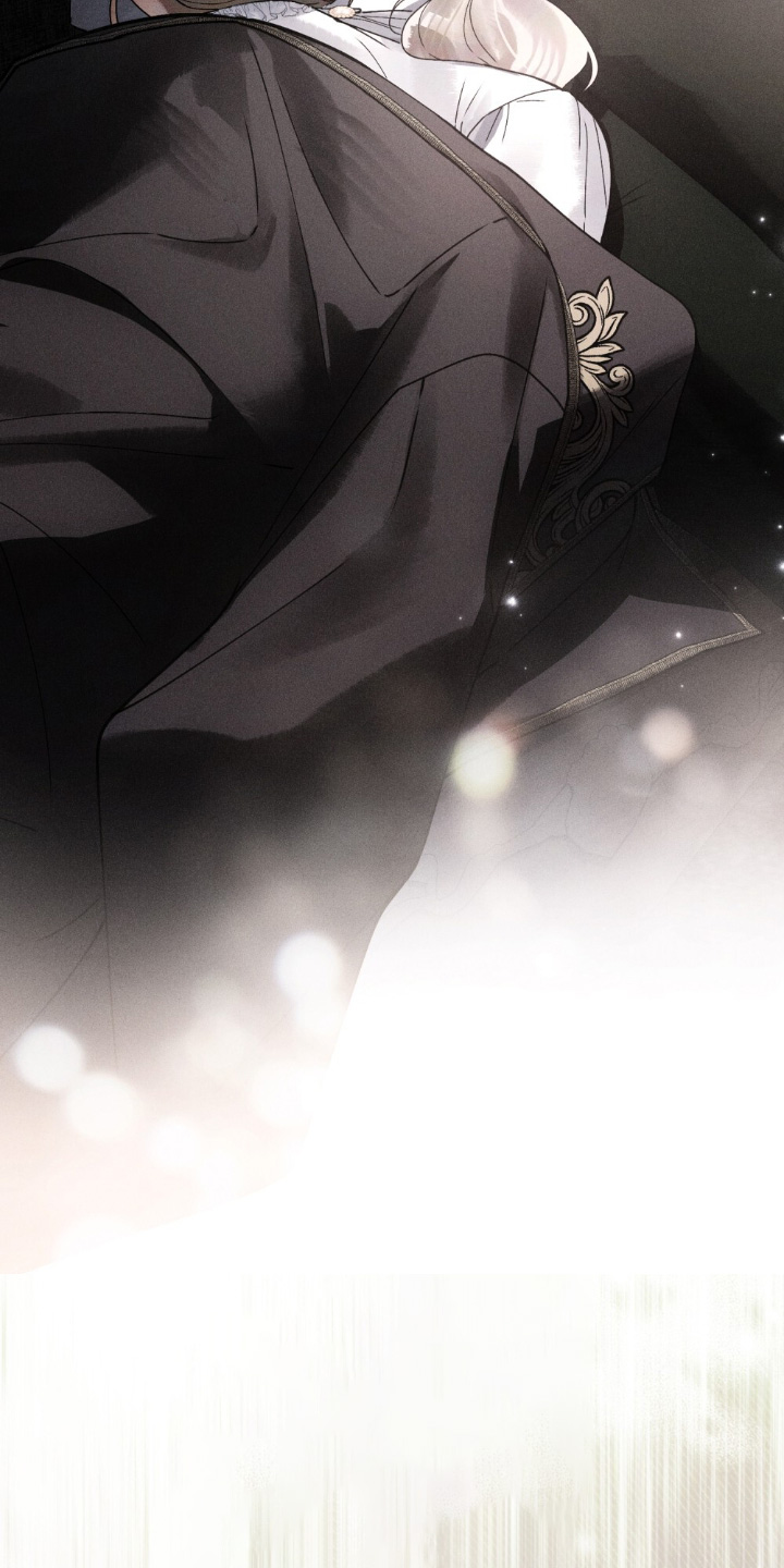 冷面公爵非要娶我漫画,第31章：各位安静一点4图