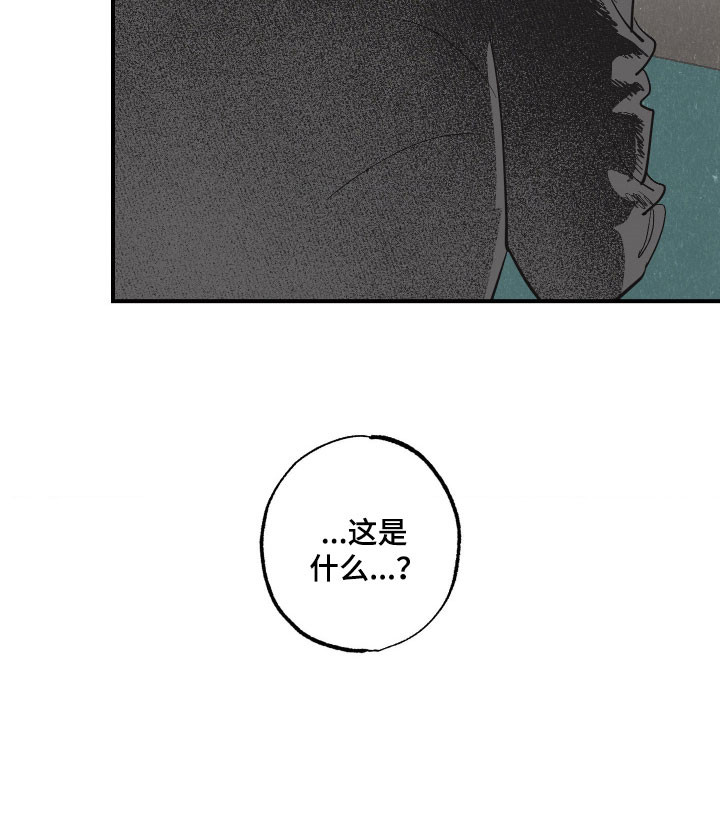 欧米伽骗局漫画,第28章：余额错误4图