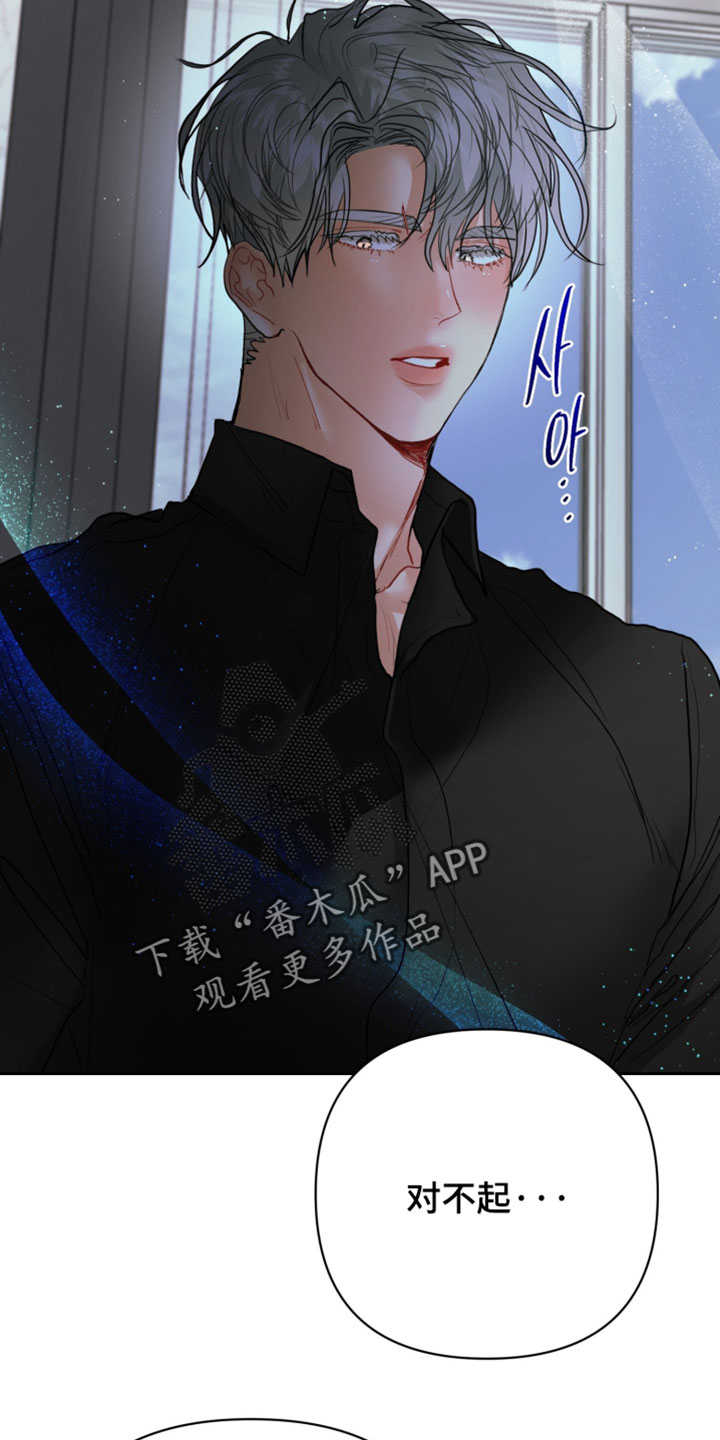 陌生挚爱漫画,第26章：不用找了4图