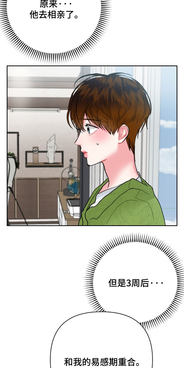陌生挚爱漫画,第26章：不用找了2图
