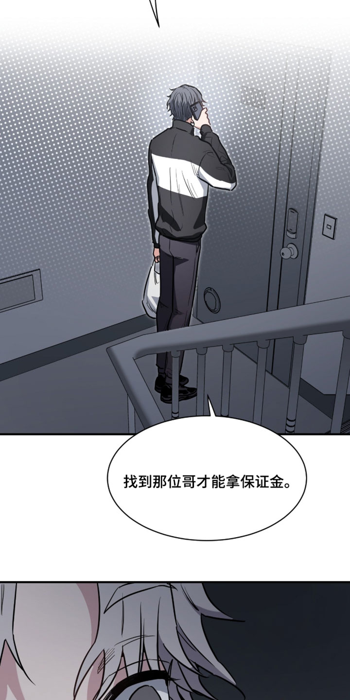 星光与谎言漫画,第29章：终于抓到了！4图