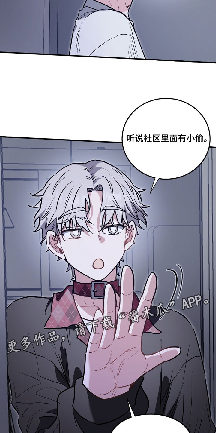 星光与谎言漫画,第32章：所以不行吗2图