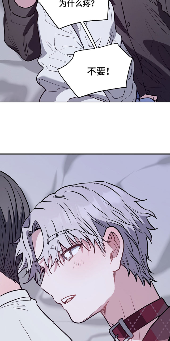 星光与谎言漫画,第33章：恢复记忆1图