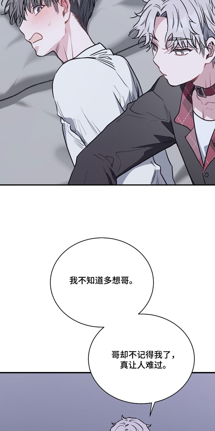 星光与谎言漫画,第33章：恢复记忆3图