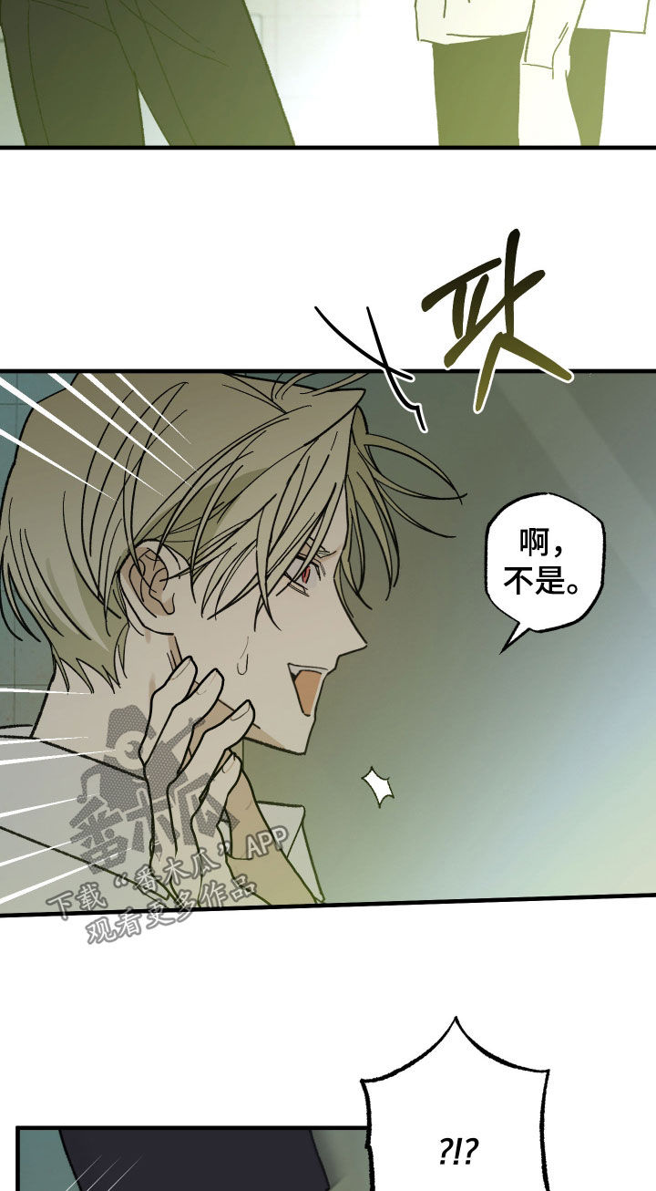 我的狐妖同事漫画,第19章：危险2图