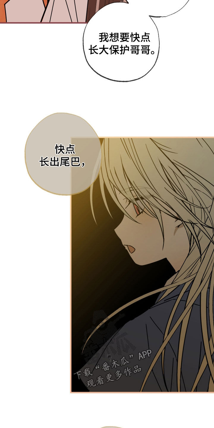 我的狐仙女友樱花动漫漫画,第18章：下一个计划4图