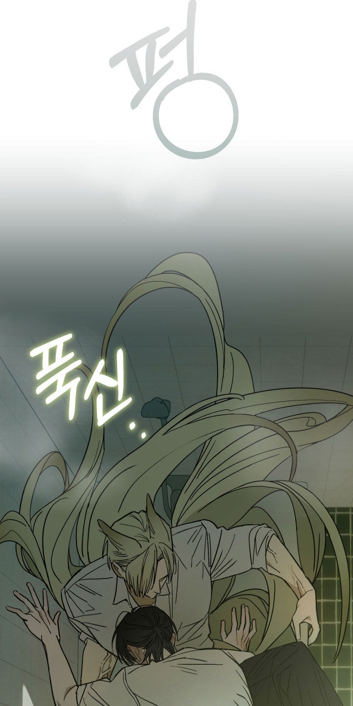 我的狐妖同事漫画,第19章：危险1图