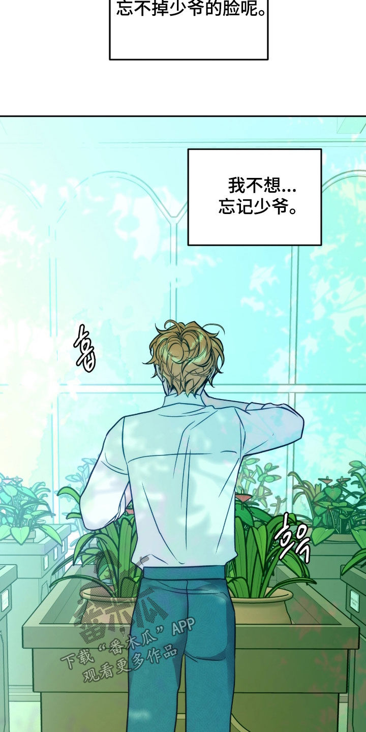 少爷的金鱼仆从漫画,第27章：不想忘记5图