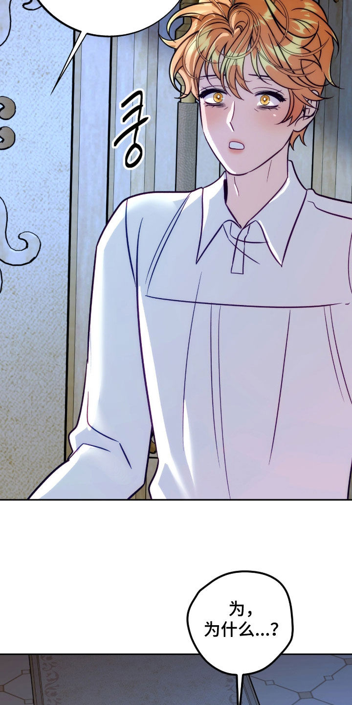 少爷的金鱼仆从漫画,第24章：晴天霹雳3图